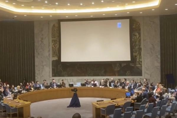 РФ внесет в ООН документ о признании 14 декабря днем борьбы с колониализмом