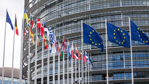 В Европарламенте спрогнозировали рост стоимости «стены дронов»